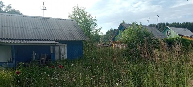 СНТ Ранет, Ангарский г. о. фото