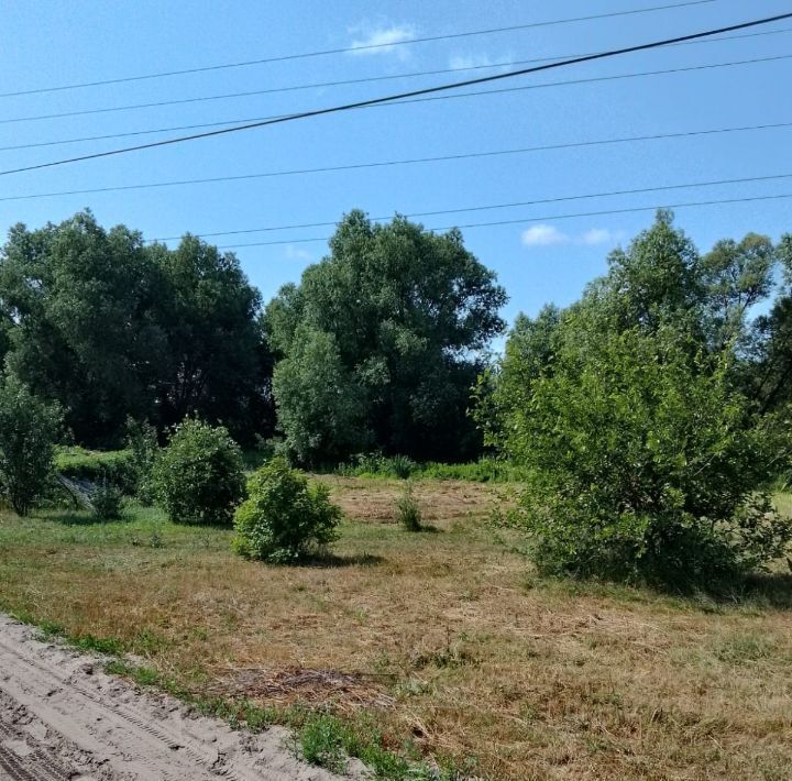 земля р-н Борисоглебский г Борисоглебск ул Неделина 97 фото 9