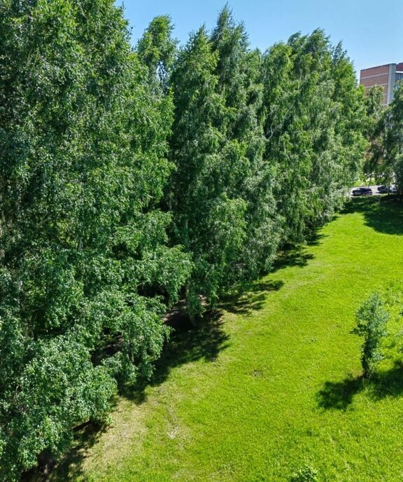 квартира г Юрга пр-кт Кузбасский 20б фото 14