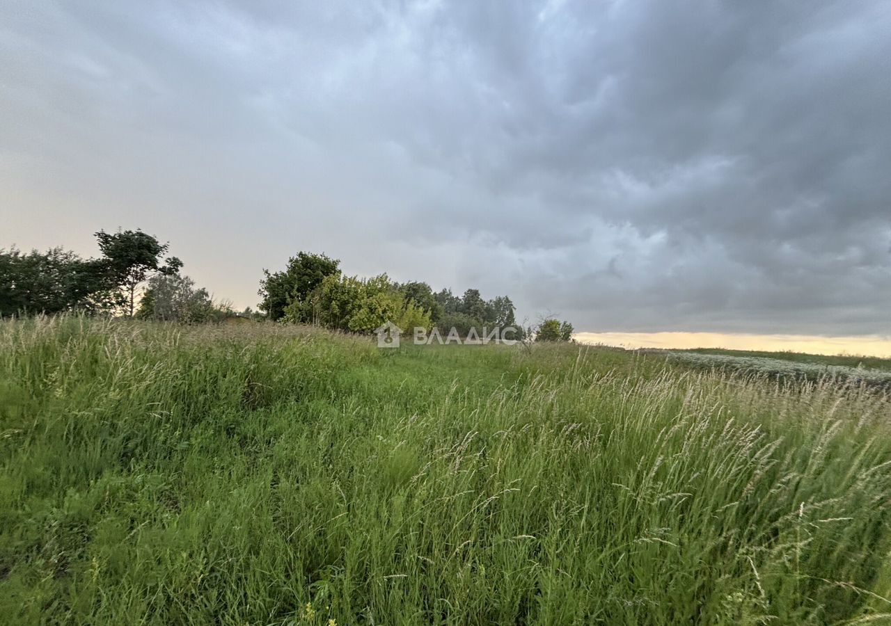 земля г Зарайск снт Снежинка 122 км, Каширское шоссе фото 1