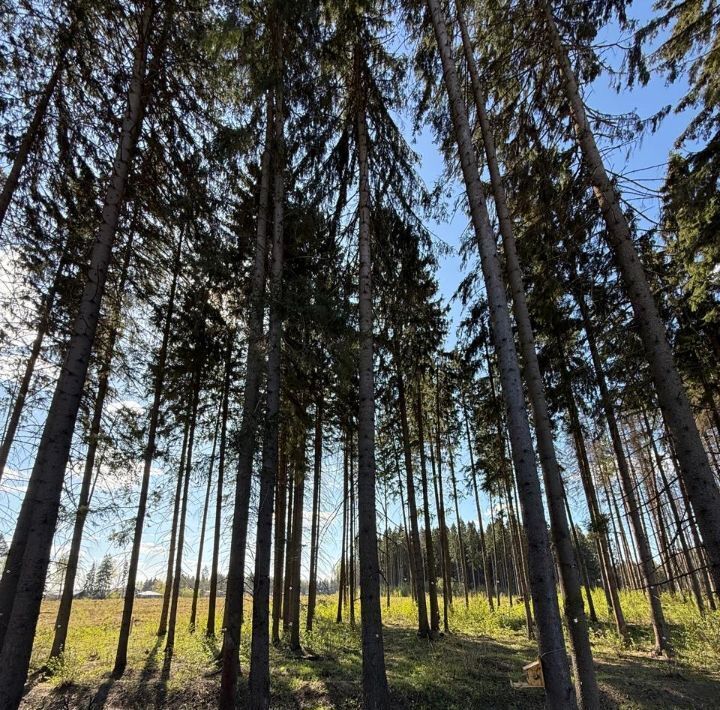 дом г Химки Новоподрезково, Сходня Форест Парк кп, 31 фото 4