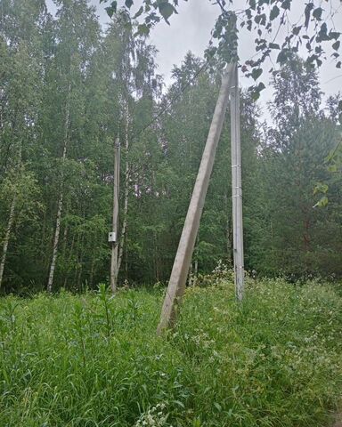 Трасса Лодейное Поле — Тихвин, Алёховщинское сельское поселение, 9, Лодейное Поле фото