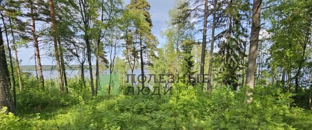 Приморское городское поселение, Лесная Ривьера кп, 53 фото Приморское городское поселение, Лесная Ривьера кп, 53 фото