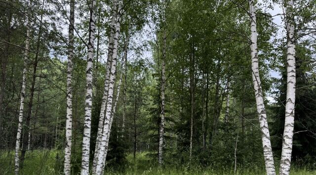 земля ул Береговая 3 Колтушское городское поселение, Коттеджный посёлок «Мечта» фото