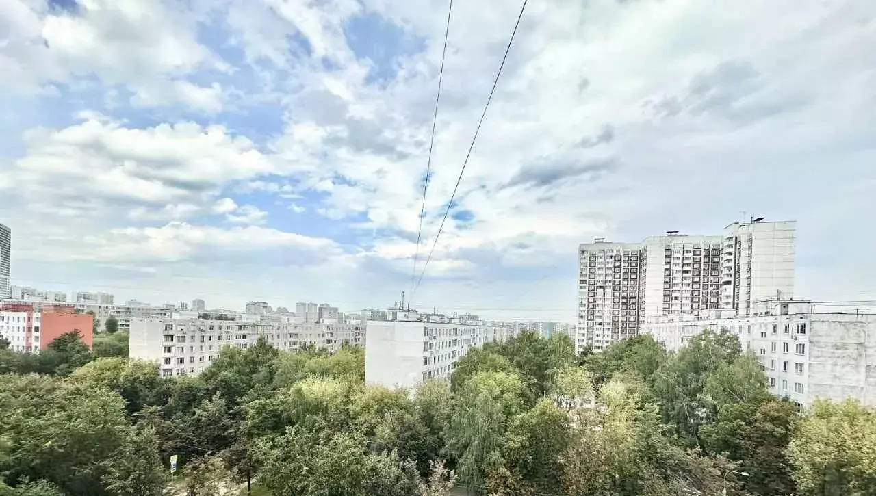 квартира г Москва метро Чертановская проезд Сумской 5к/1 фото 19