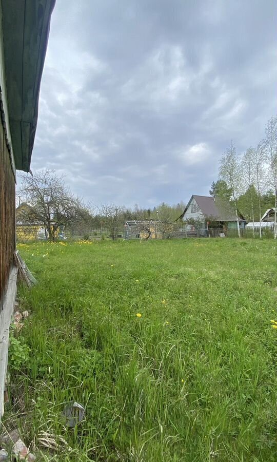 земля р-н Чудовский г Чудово городское поселение город Чудово, СТ Полянка фото 4