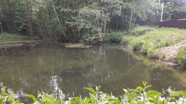 ул Лесная Сергиево-Посадский городской округ, Ивашково СНТ фото