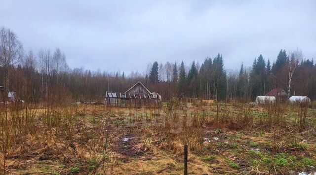 земля снт Соколовка муниципальное образование фото