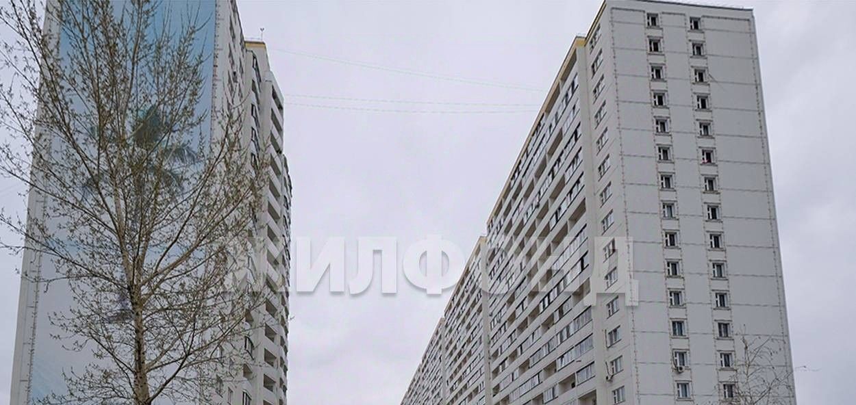 квартира г Новосибирск ул Виктора Уса 4 Площадь Маркса фото 17
