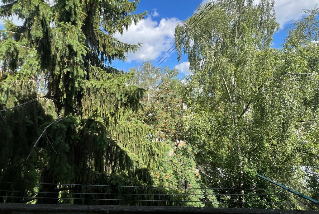 квартира г Владимир ул Горького 98 фото 16