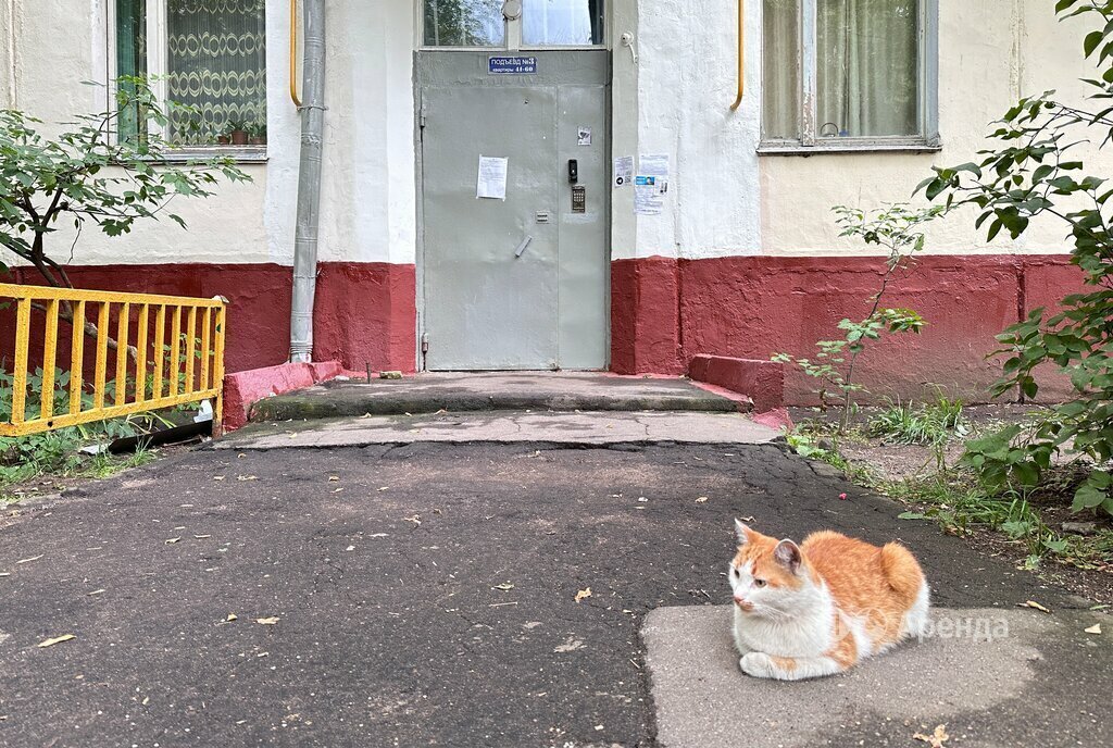 квартира г Москва метро Люблино ул Совхозная 25/14 фото 25
