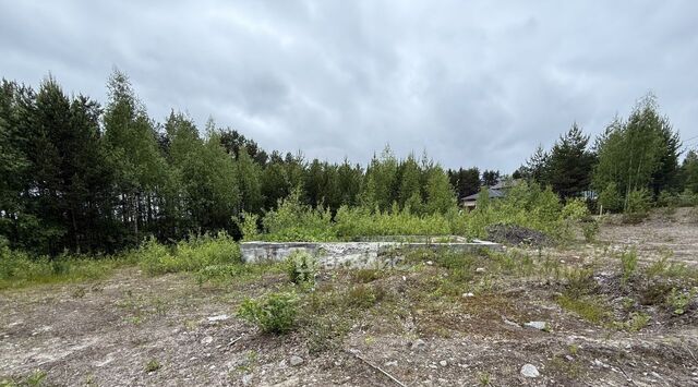 земля г Медвежьегорск ул Мира фото земля г Медвежьегорск ул Мира фото