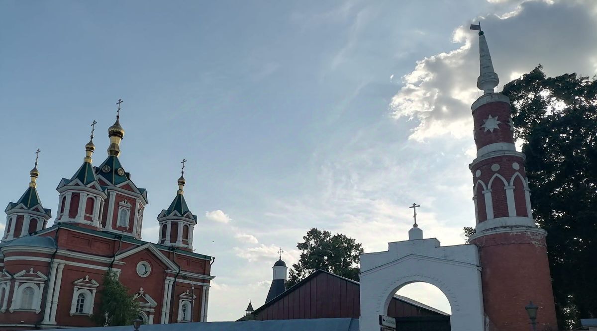 квартира г Коломна Старая Коломна ул Октябрьской революции 216 фото 16