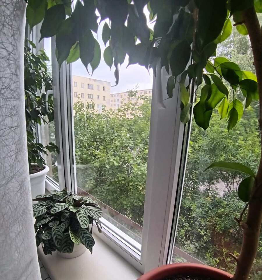 квартира р-н Кондопожский г Кондопога ул Бумажников 4а фото 9