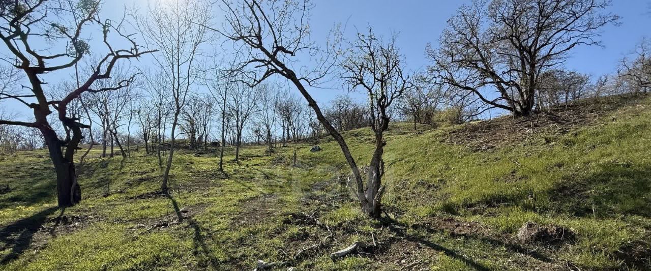 земля г Алушта с Лучистое ул Грушевая фото 4
