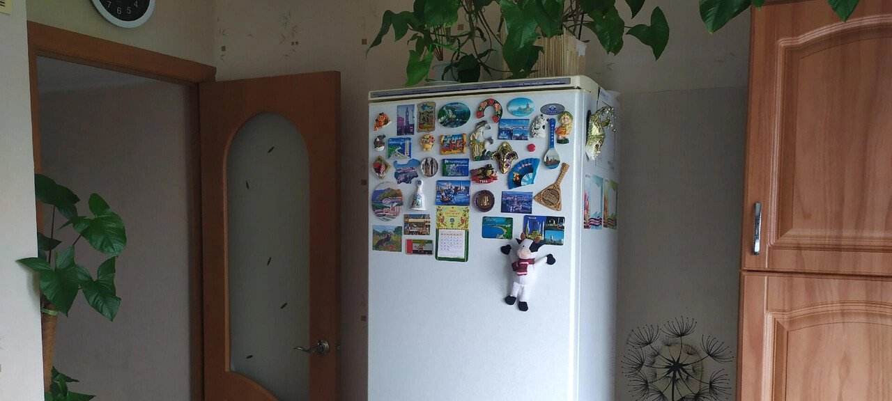 квартира г Ульяновск ул Рябикова ул Камышинская 37 3-й Свияга м-н фото 13