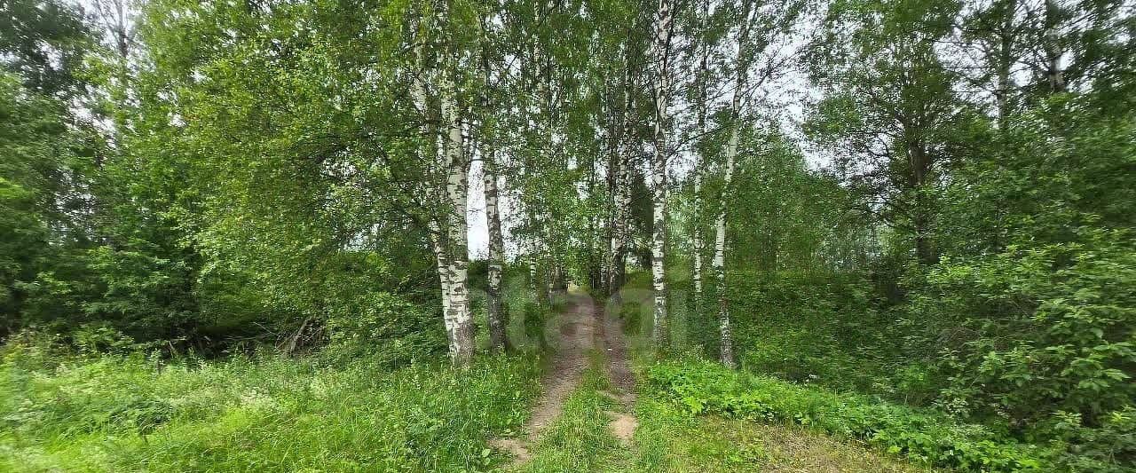 земля г Кострома снт Струя-2 фото 12