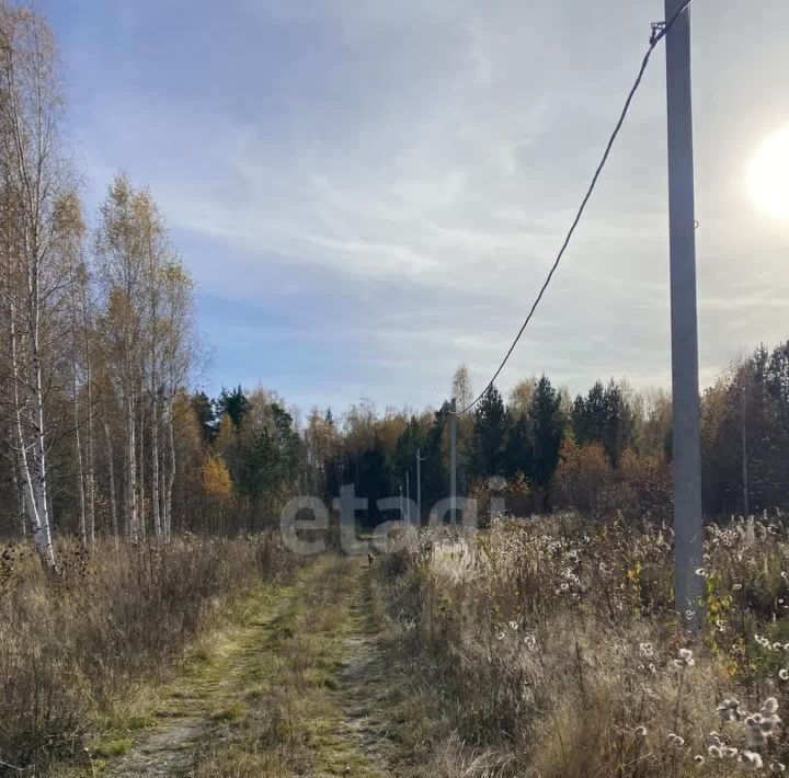 земля г Верхняя Пышма тер СТСН Трест Уралцветметразведка фото 11