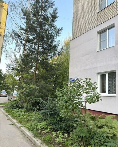 р-н Фрунзенский дом 17б фото