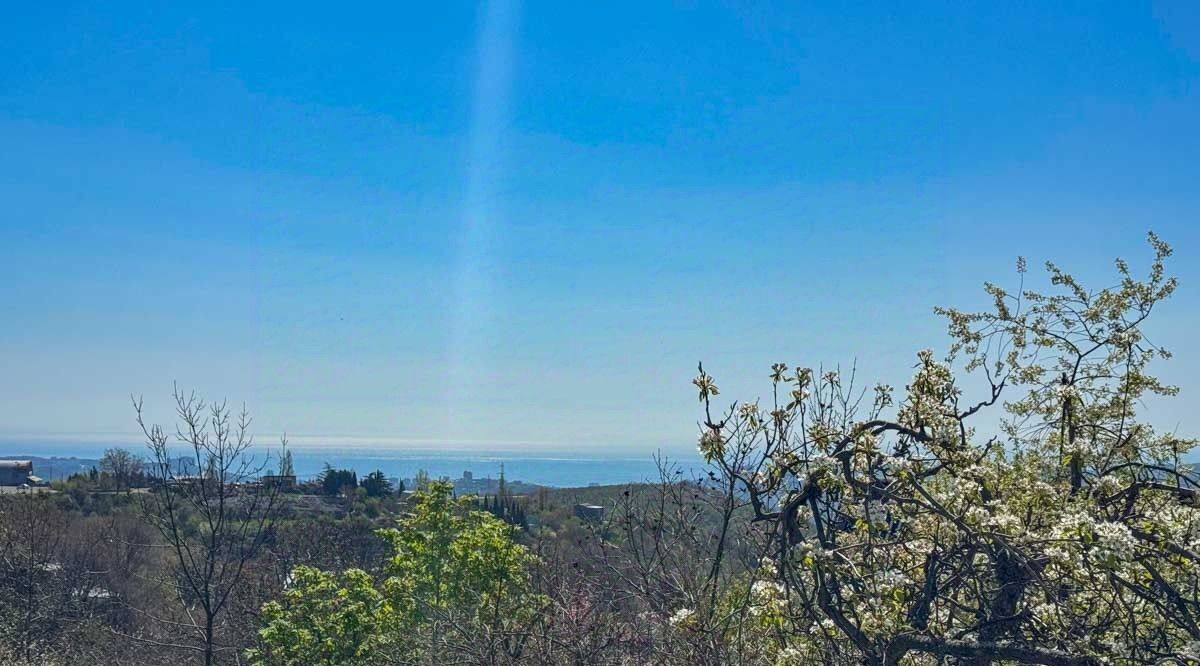 земля г Алушта с Изобильное пер Верхний фото 4