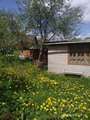 городской округ Серпухов, Ступино, Центральная улица фото
