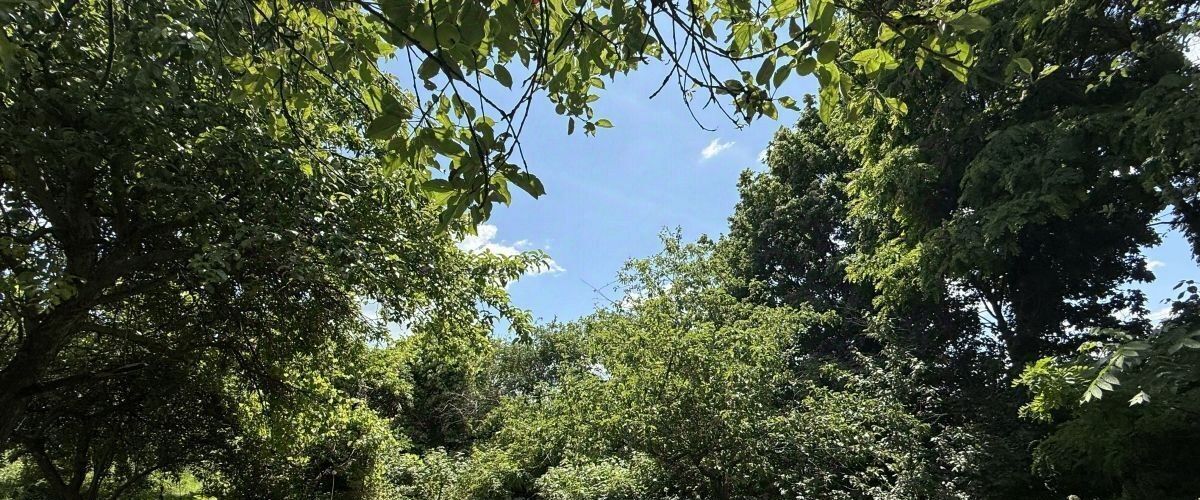 земля г Курск р-н Центральный ул Кавказская 3 фото 1