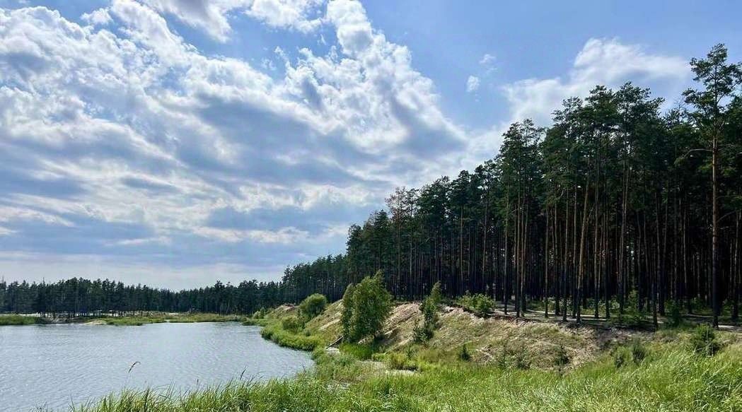 дом г Брянск р-н Фокинский ул Садовая Рассвет-2 СТ фото 20