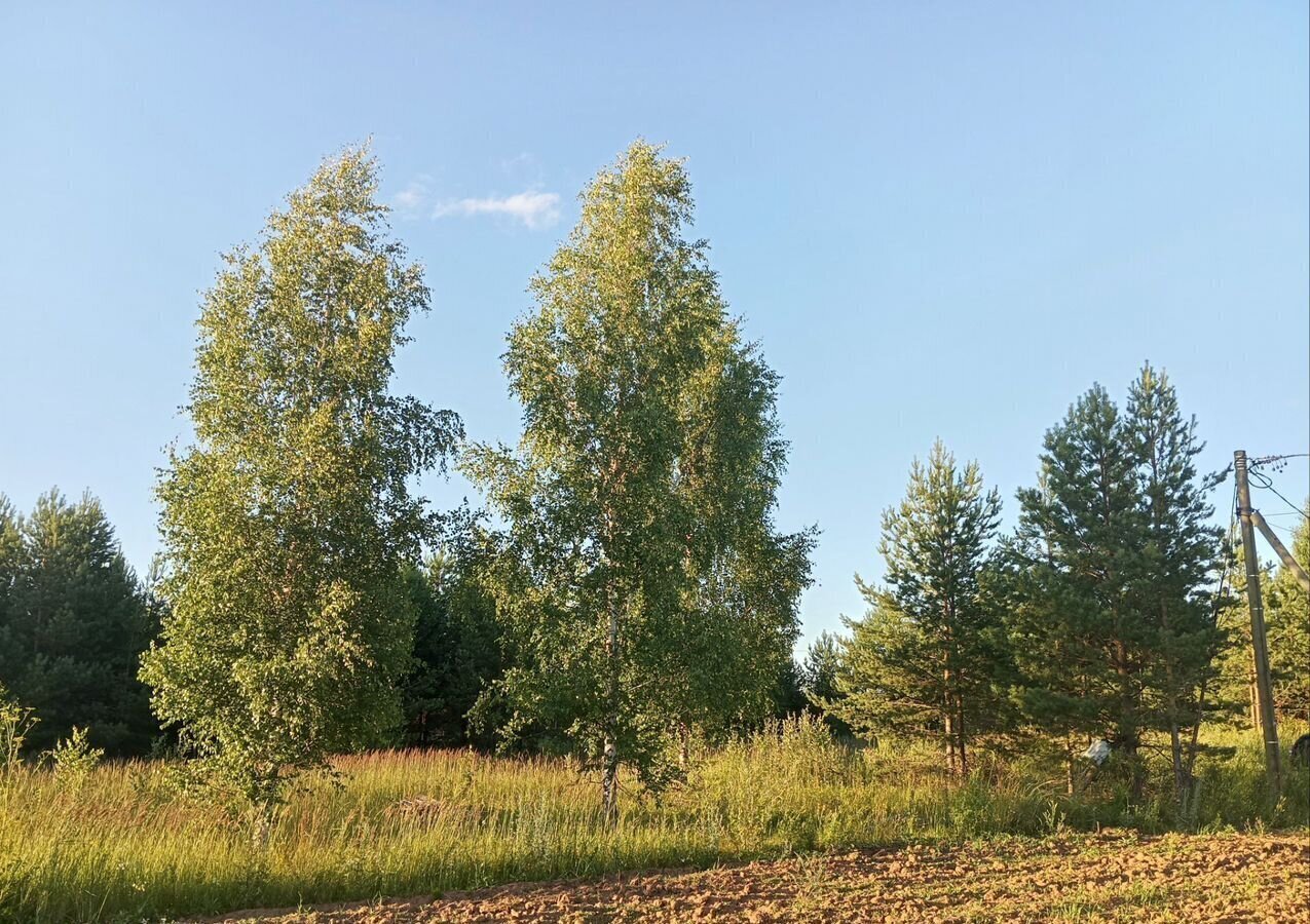 земля г Чайковский с Фоки ул Рагузинская 76 фото 7