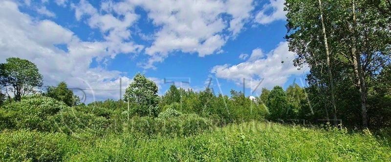 земля р-н Выборгский г Выборг ш Калининское Калининский фото 2