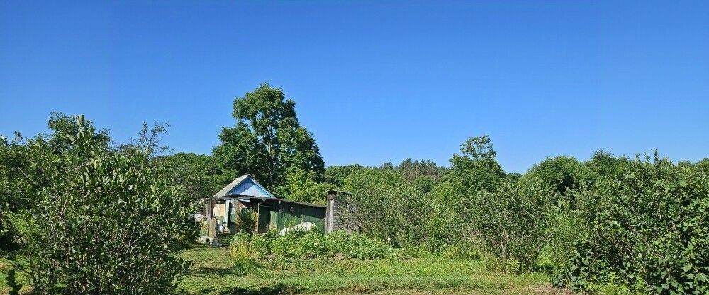 земля г Арсеньев фото 18