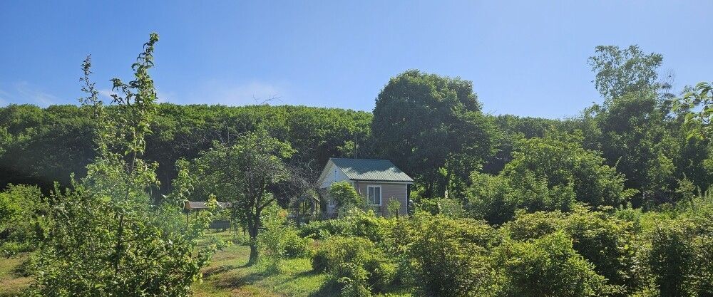 земля г Арсеньев фото 21
