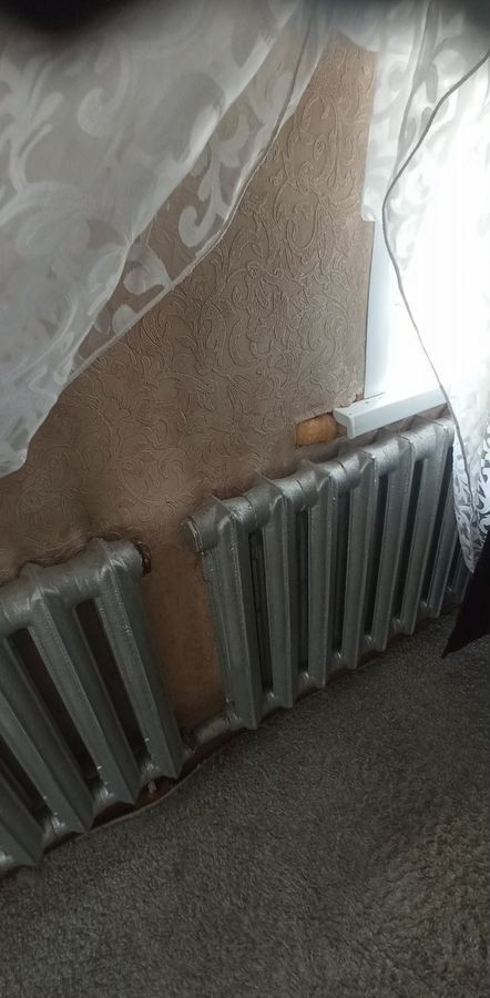 дом г Рубцовск ул Фадеева 30 фото 6