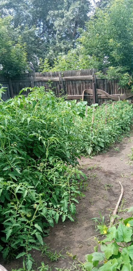 дом г Рубцовск ул Фадеева 30 фото 19