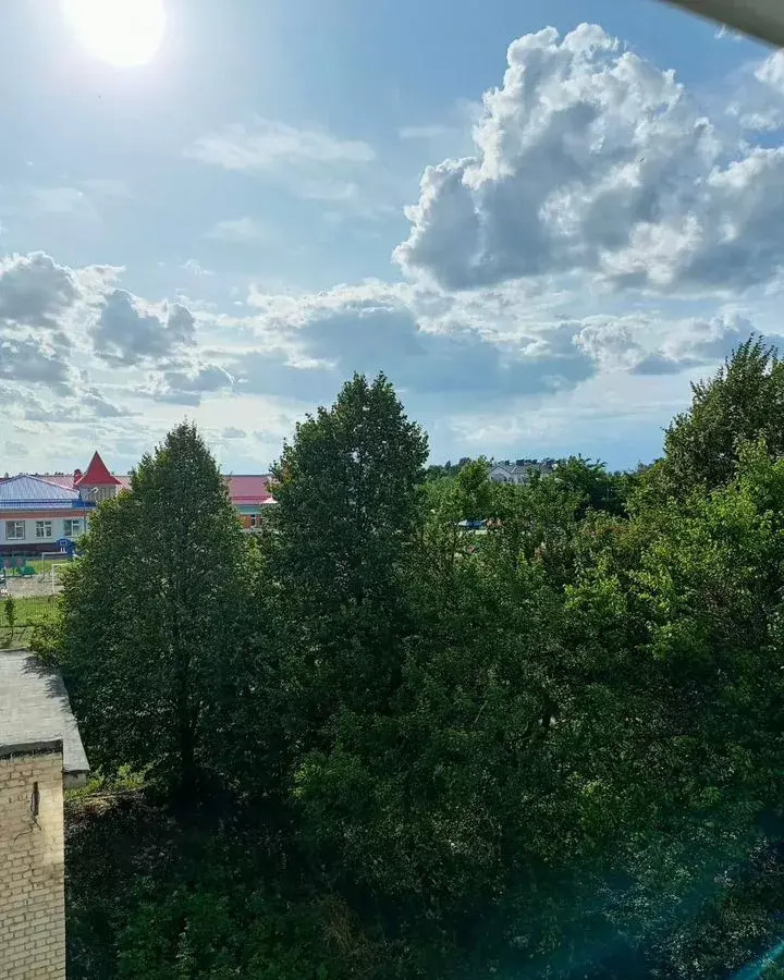 квартира р-н Острогожский г Острогожск Северный мкр-н, 25 фото 23