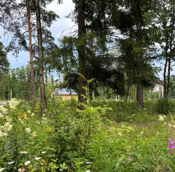земля г Щёлково снт Южный зона, Удельная, 4, Богородский городской округ фото 2