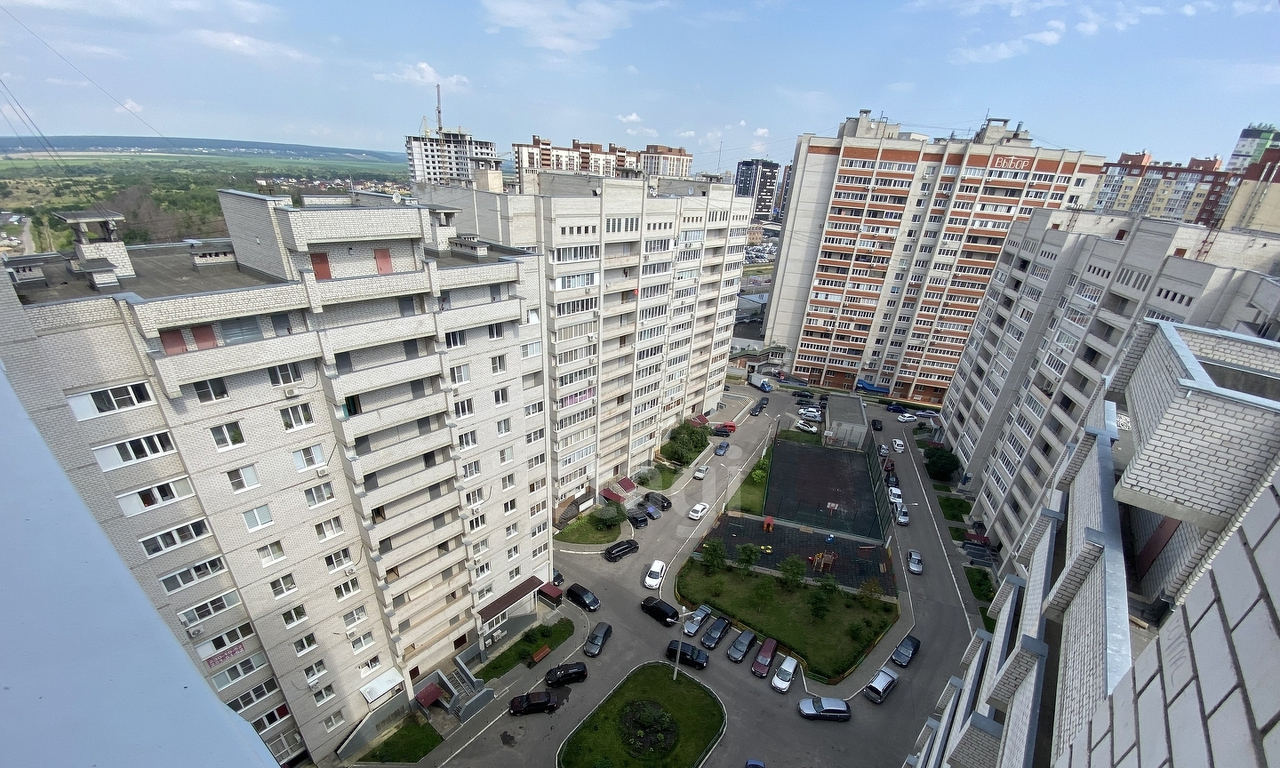 квартира г Воронеж ул Антонова-Овсеенко 29 фото 20