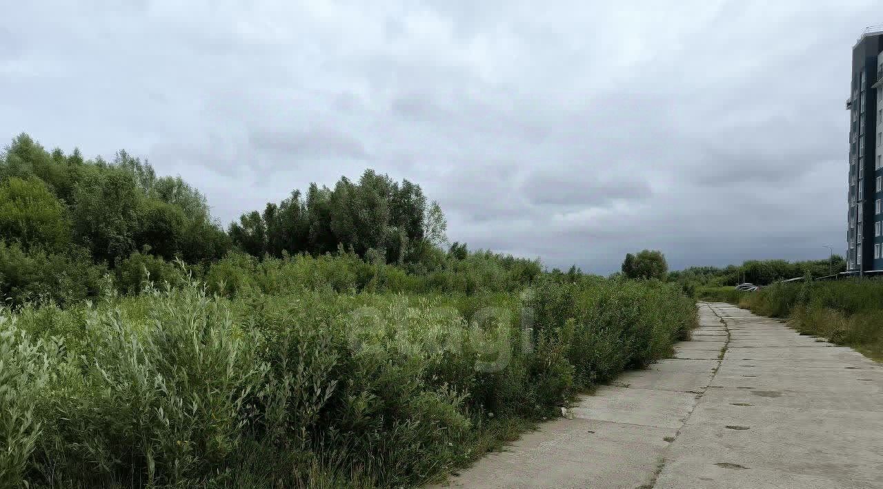 земля г Калининград р-н мкр Петровский Московский фото 4