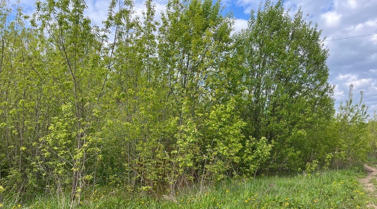земля г Домодедово д Чулпаново Подольск, Новое фото 1