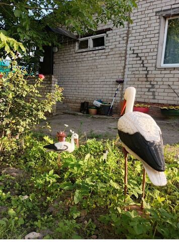 дом ул Викторова 23 Смоленск фото