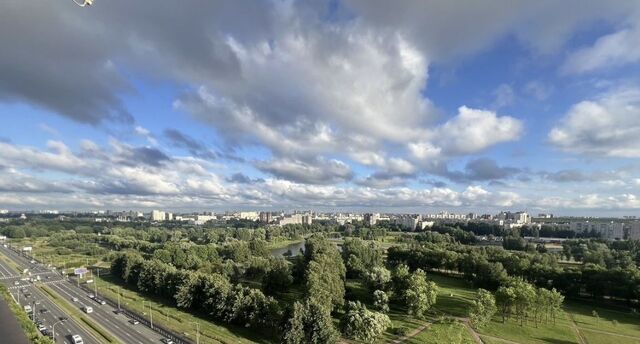 пр-кт Луначарского 78к/5 фото