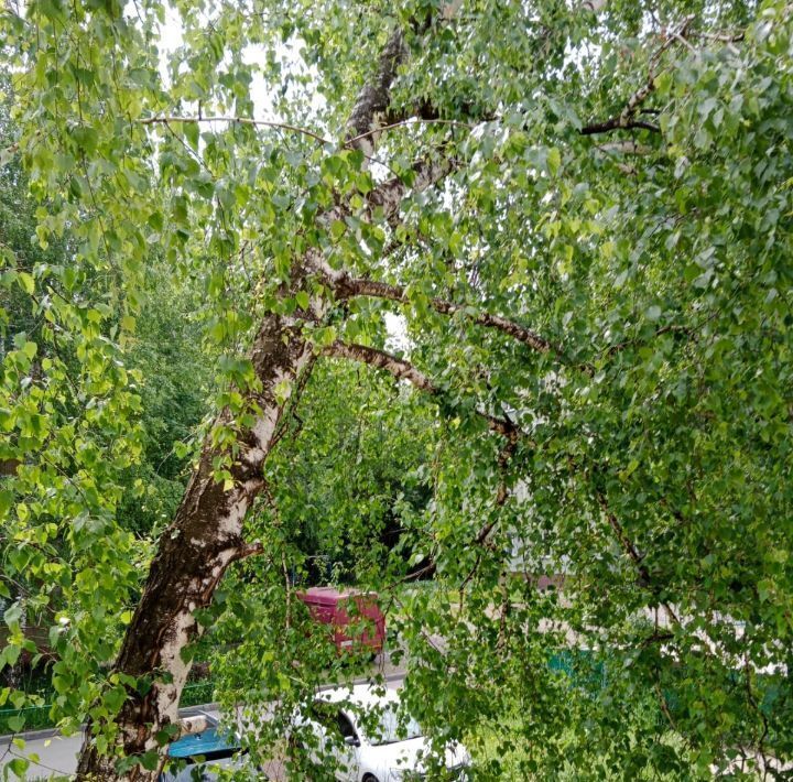 квартира г Новосибирск р-н Дзержинский Золотая Нива ул Адриена Лежена 28/1 фото 15