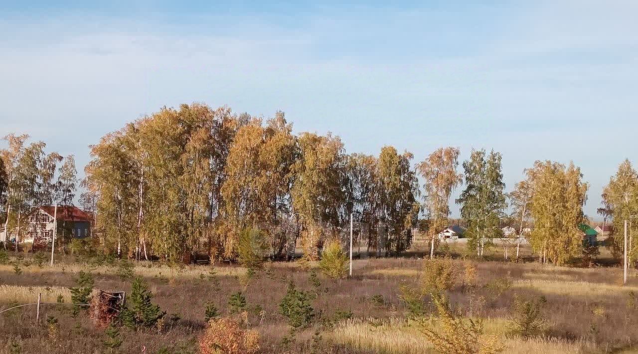 земля г Ульяновск с Луговое ул Георгиевская фото 7
