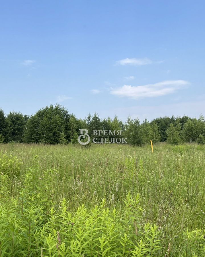 земля г Владимир 17Н-591 фото 7