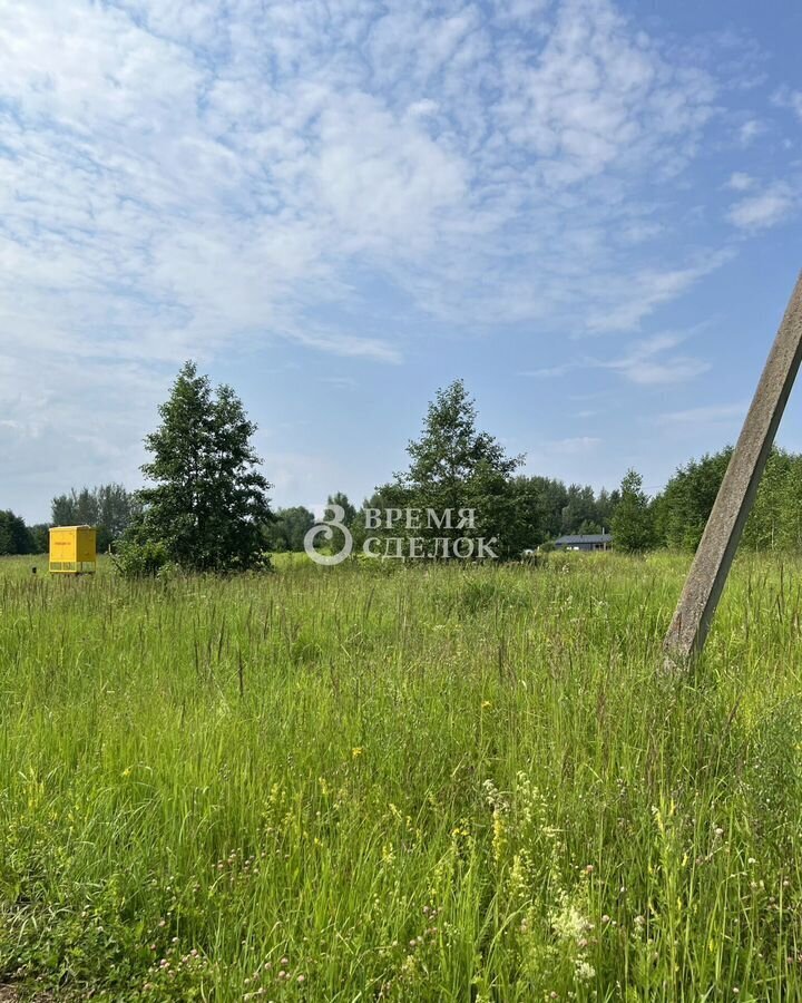 земля г Владимир 17Н-591 фото 15
