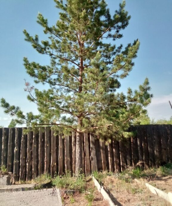 земля г Чита р-н Центральный ул Широкая ДНТ Урожай фото 1