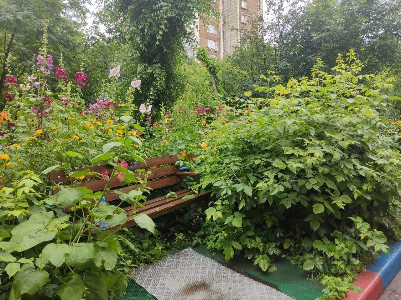 квартира г Новосибирск р-н Центральный ул Советская 46/2 фото 24