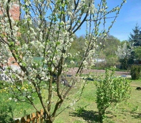 квартира г Калининград р-н мкр Александра Космодемьянского Центральный фото 9