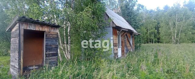 тер. ДНТ Боровиха муниципальное образование Петушинское, Петушки фото