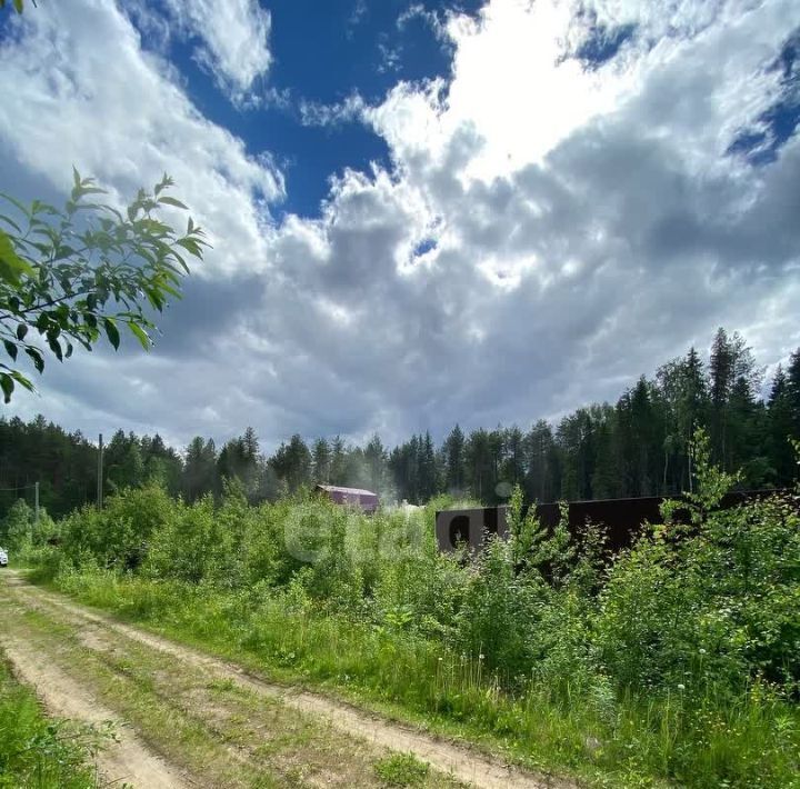 земля г Сыктывкар Лемское тер., Лазурное СНТ, 164 фото 2