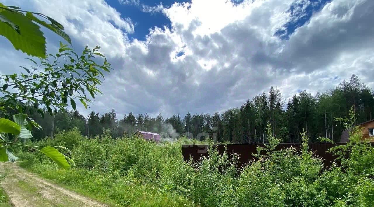 земля г Сыктывкар Лемское тер., Лазурное СНТ, 164 фото 4